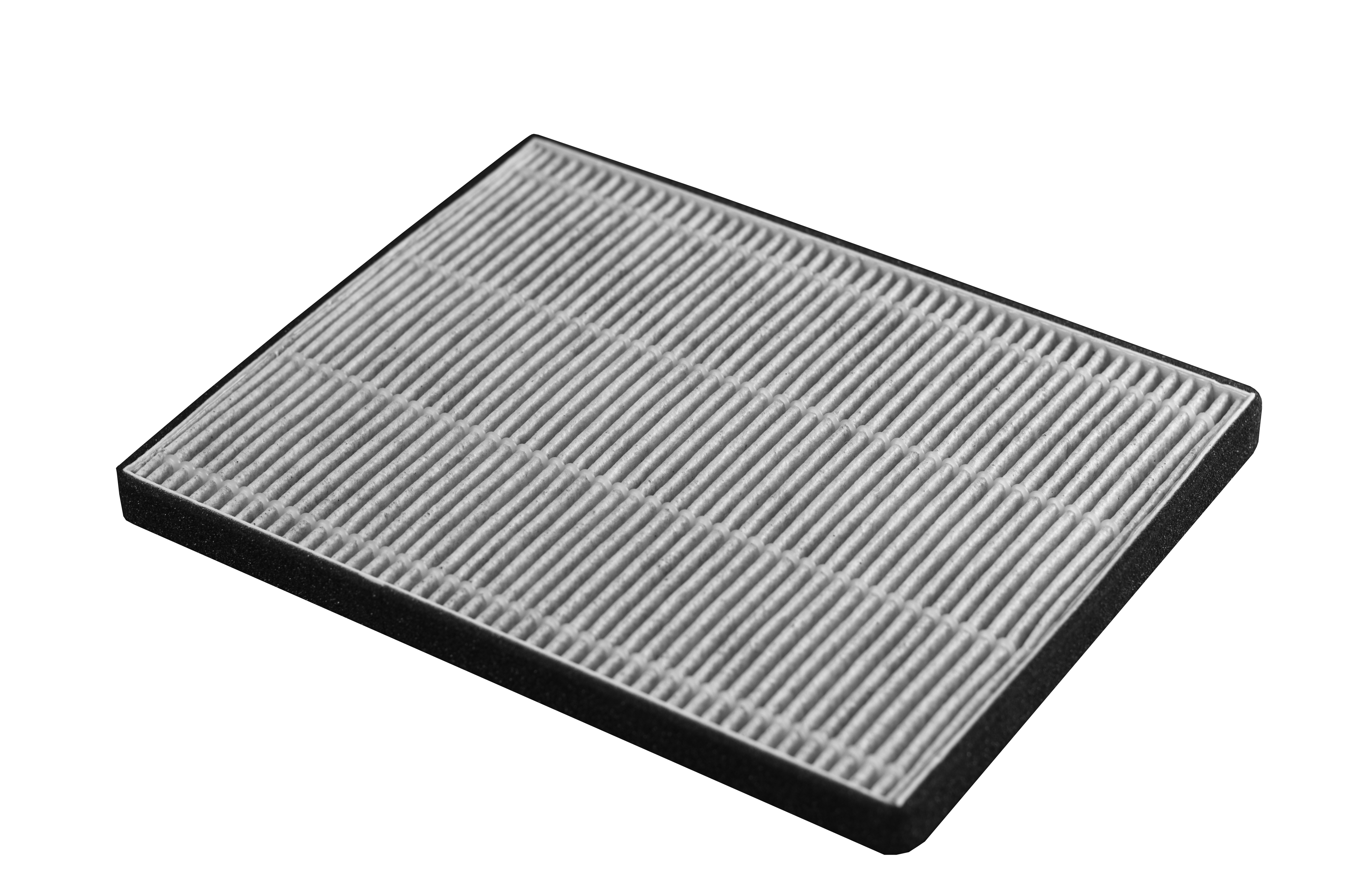 Filtru Dual Hepa Carbon pentru LEVI 20